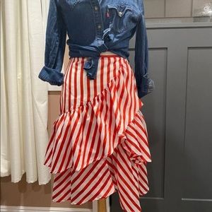 Champagne and Strawberry Stripe Midi Skirt